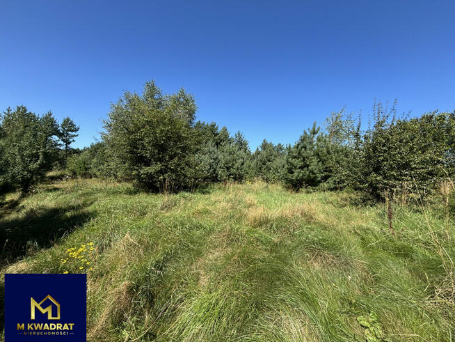 Działka budowlana Bojano gm. Szemud, Bukowa