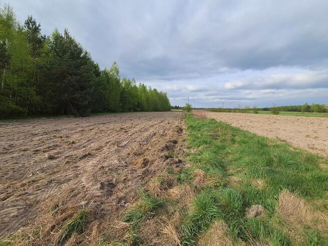Siedlisko - spokojna wieś w przepięknej okolicy!