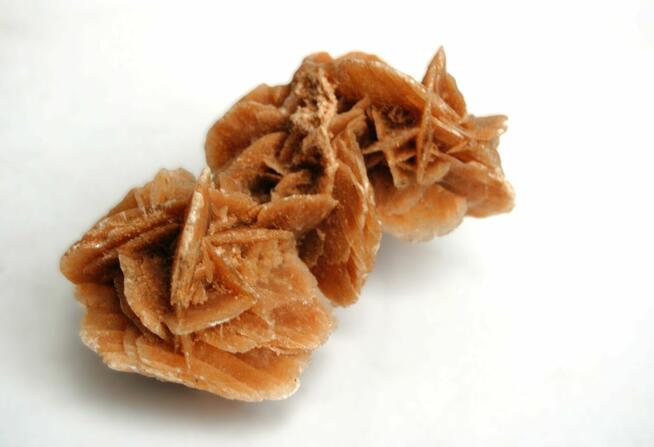 Róża pustyni, kamień, Sahara, 10 cm.