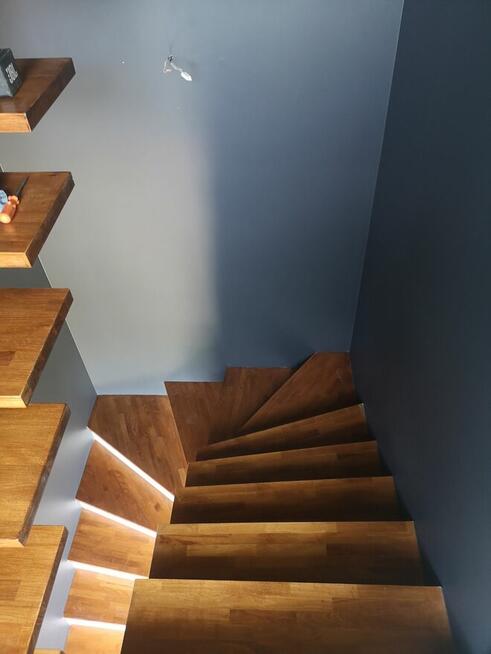 Malalarz - szpachlarz