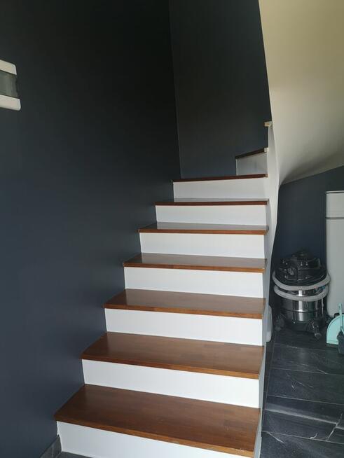 Malalarz - szpachlarz