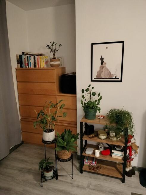 Wynajmę dwupokojowe mieszkanie z oddzielną kuchnią