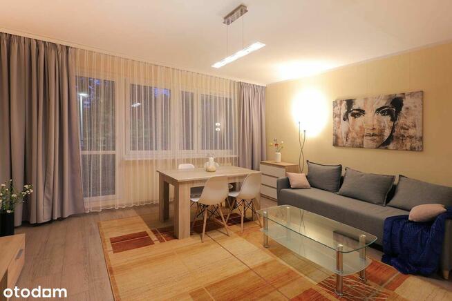 mieszkanie 2 - pokojowe na wynajem