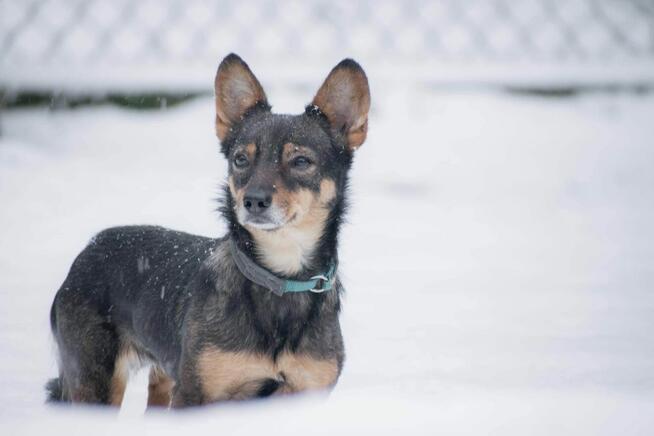 Czy ta malutka Karolcia nie zasługuje na domek?