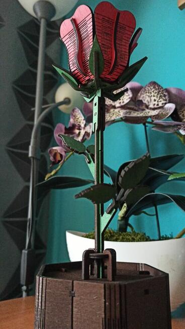 Drewniana Wieczna Róża w Doniczce - Walentynki | Dla Niej