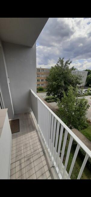 Wynajmę słoneczne mieszkanie 3-pokojowe