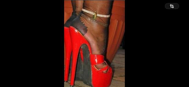 CD, TRANS , PRZEBIERANKI