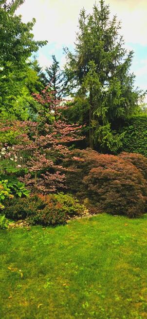 Klimatyczny Dom z ogrodem