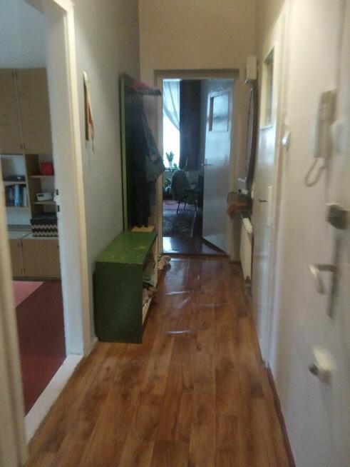 Samodzielnie mieszkanie 2 pokojowe dla dwóch studentek !!!