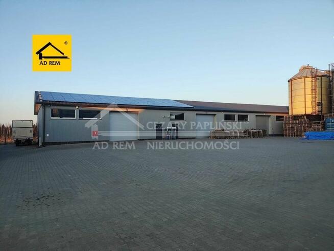 Lokal użytkowy Kurów, Kurów