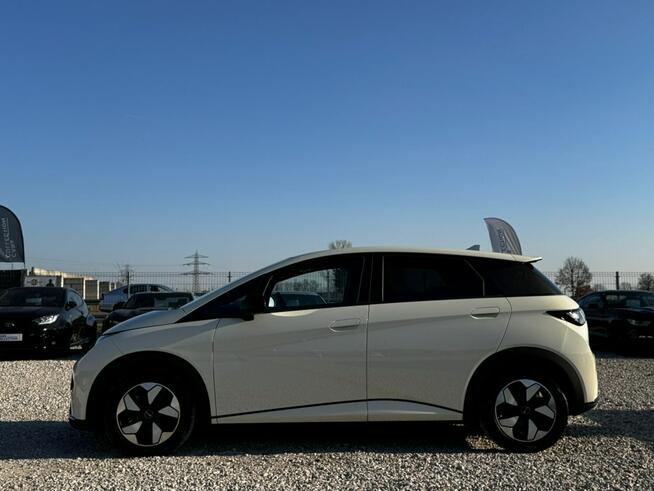 BYD Dolphin Nowy / Bezwypadkowy / Wallbox / Panorama/ Kamery 360 / FV23%