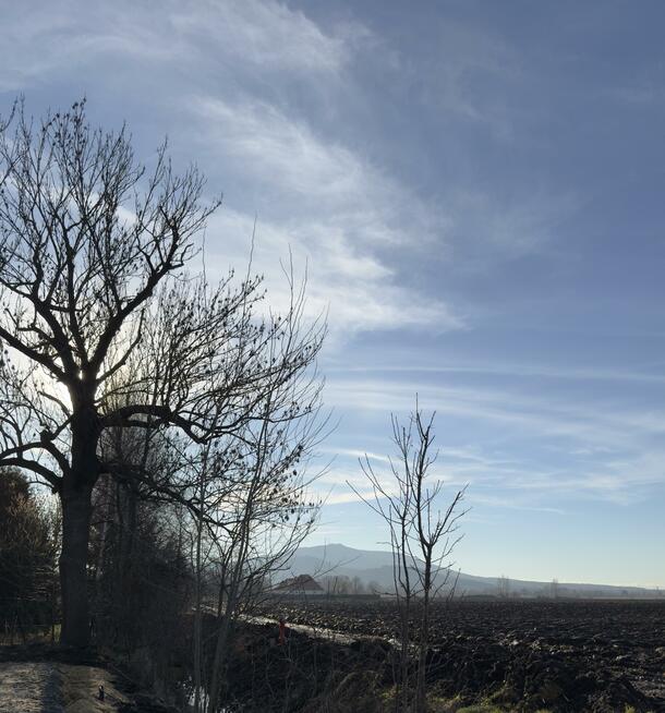 Dom Rogów Sobócki gm. Sobótka, Tymiankowa