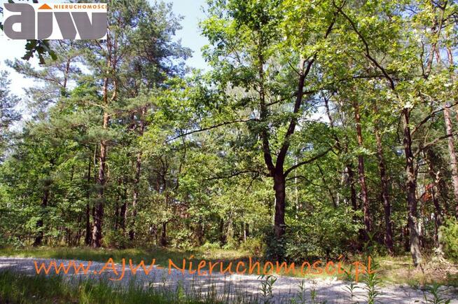 Działka budowlana Izabelin B gm. Izabelin, gm. Izabelin