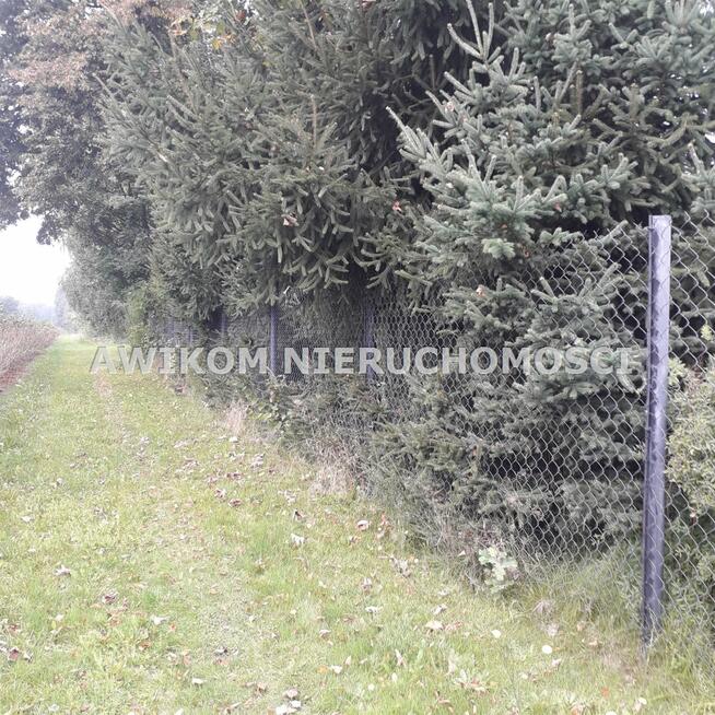 Działka rolna Kowiesowo gm. Mszczonów