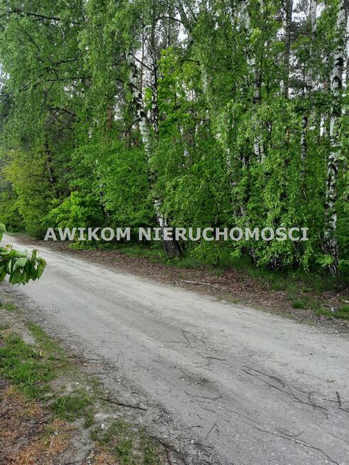 Działka siedliskowa Kornelówka gm. Pniewy