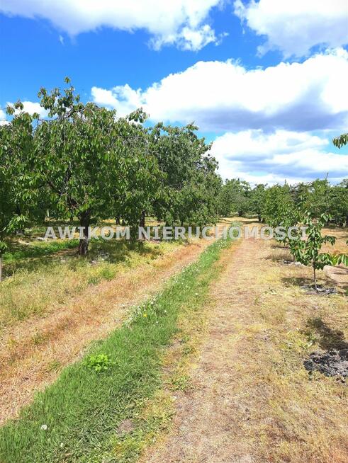 Działka rolna Kornelówka gm. Pniewy