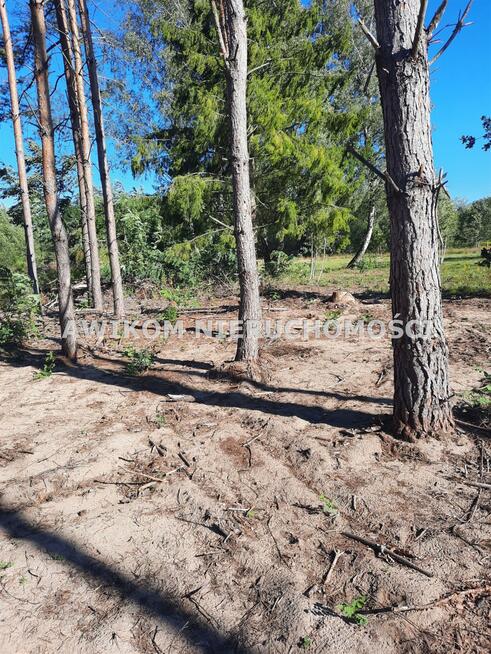 Działka usługowa Kaleń gm. Żabia Wola