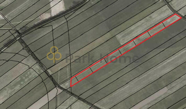 Działka inwestycyjna Święciechowa,