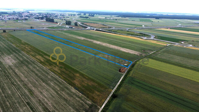 Działka inwestycyjna Święciechowa,