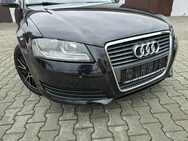 Audi A3 1,4Turbo. AUTOMAT.Navi,DVD.YouTube.Serwis.kredyt.Zadbana.OKAZJA