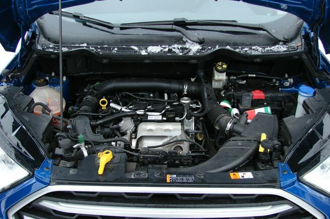 Ford EcoSport 1.0 E 125 KM Salon PL