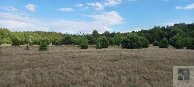 Działka budowlana Jeżewice gm. Łabiszyn