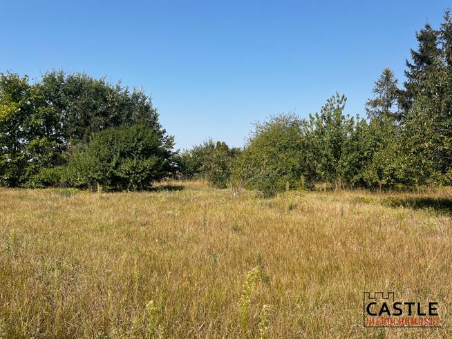 Działka budowlana Duszniki, Podrzewska