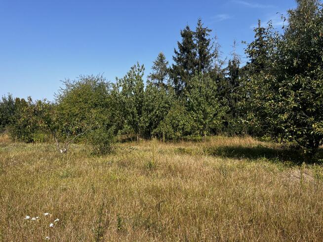 Działka budowlana Duszniki, Podrzewska