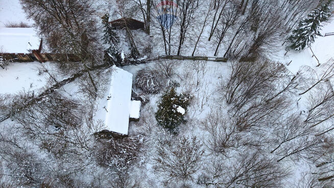 Działka 7866 m² z lasem, Miłocin (Jastków)