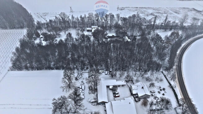 Działka 7866 m² z lasem, Miłocin (Jastków)