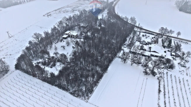 Działka 7866 m² z lasem, Miłocin (Jastków)