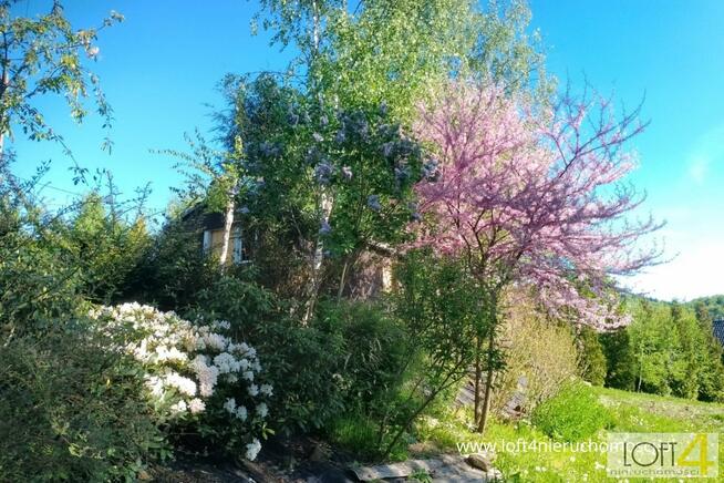 Działka budowlana Rozdziele gm. Żegocina