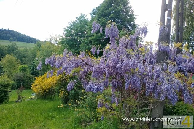 Działka budowlana Rozdziele gm. Żegocina