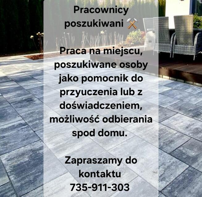 Praca szuka człowieka
