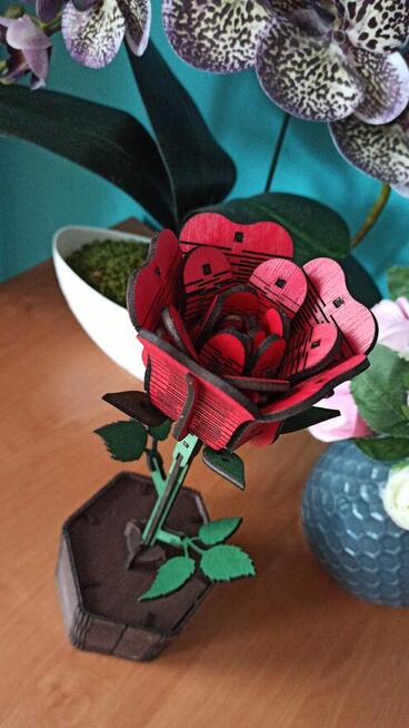 Drewniana Wieczna Róża w Doniczce - Walentynki | Dla Niej