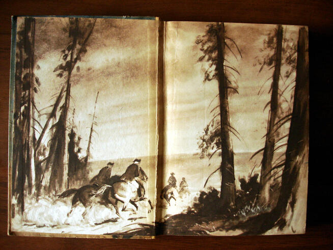 Pionierowie Cooper, Stevenson, Winnetou May, Szwejk Hasek