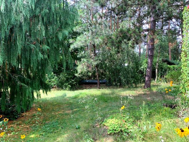 Działka z domkiem z widokiem na Bug