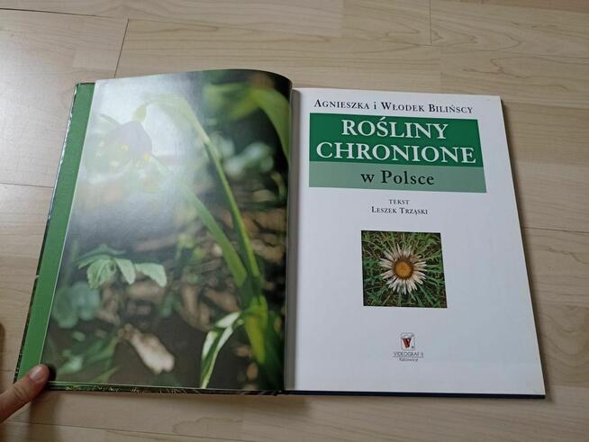 Agnieszka i Włodek Bilińscy: Rośliny chronione w Polsce