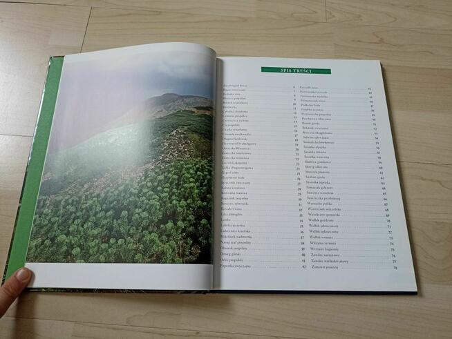 Agnieszka i Włodek Bilińscy: Rośliny chronione w Polsce