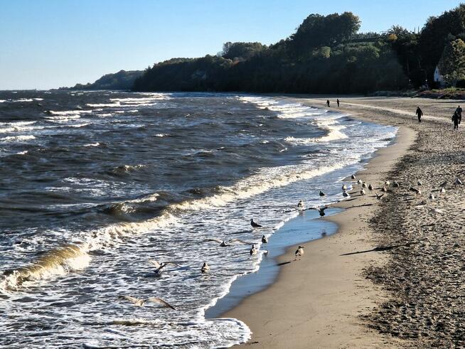 Wynajmę apartament nad morzem