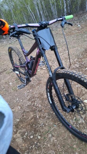 Bergamot straitline 7.0 2018