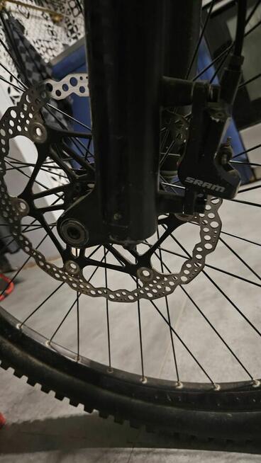 Bergamot straitline 7.0 2018