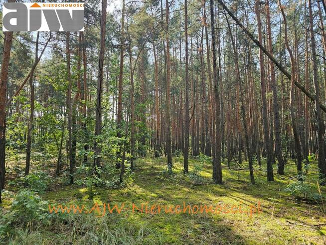 Działka budowlana Hornówek gm. Izabelin, gm. Izabelin