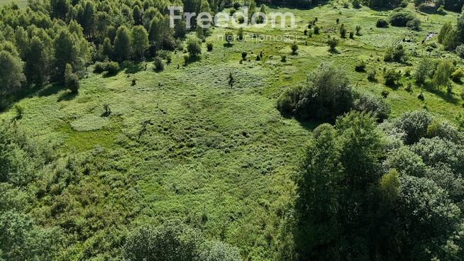 Działka 1685m2 przy lesie, Żółwia Błoć, Goleniów