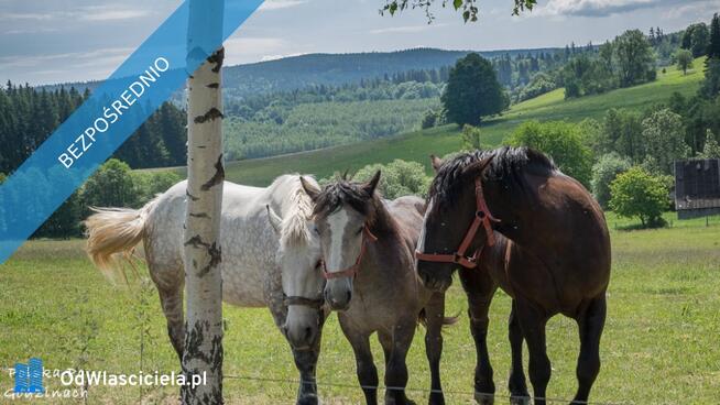 Sprzedam działkę obok Polanicy-Zdroju-=SUDETY-GORY STOLOWE