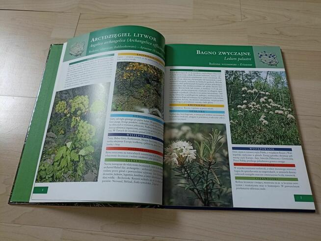 Agnieszka i Włodek Bilińscy: Rośliny chronione w Polsce
