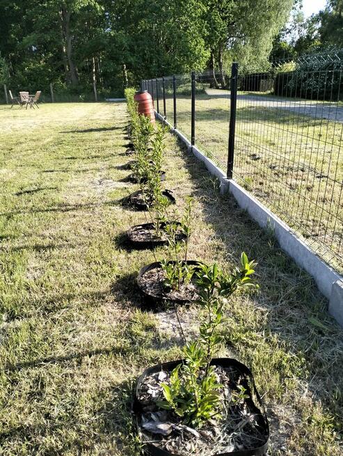 Ładzin - działka przygotowana do budowy