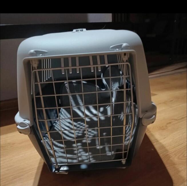 Transporter dla zwierząt