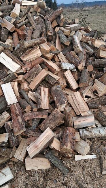 Sprzedam Drzewo liściaste mieszane