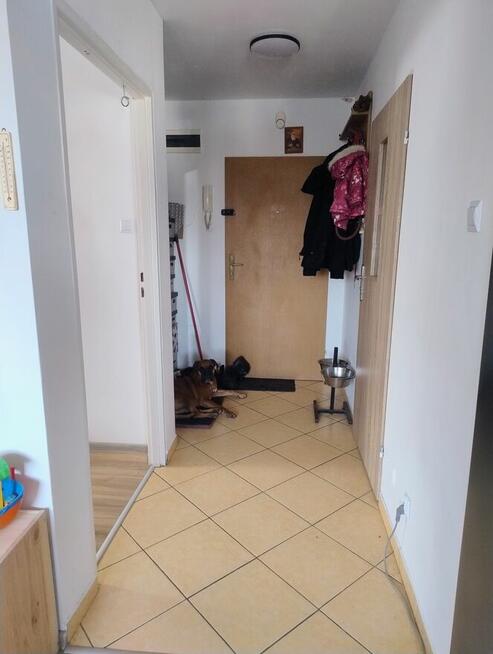 Zamienię mieszkanie